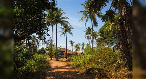 This Goa village is visible only for a month every year | Times of ...