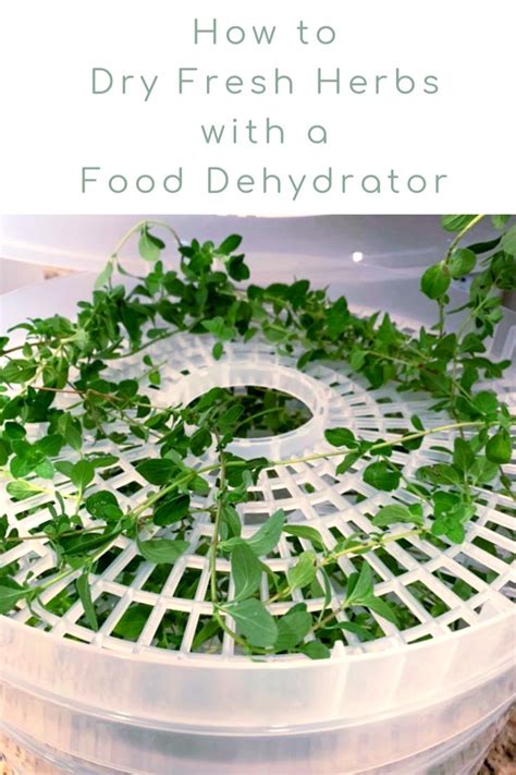 Food Dehydrator: How to Dry Fresh Herbs Easily at Home | Drying fresh ...