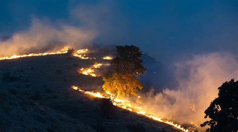 Virginia Wildfire Information and Prevention: Wildfires erupting all ...