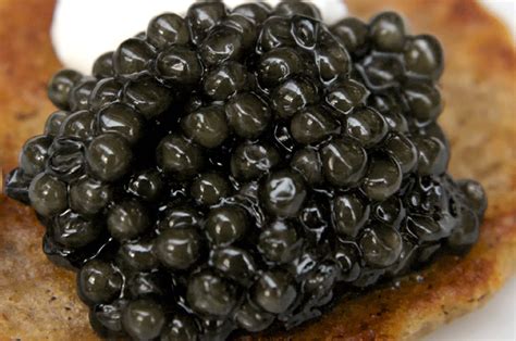 California White Sturgeon Caviar – Caviar Express, Inc.