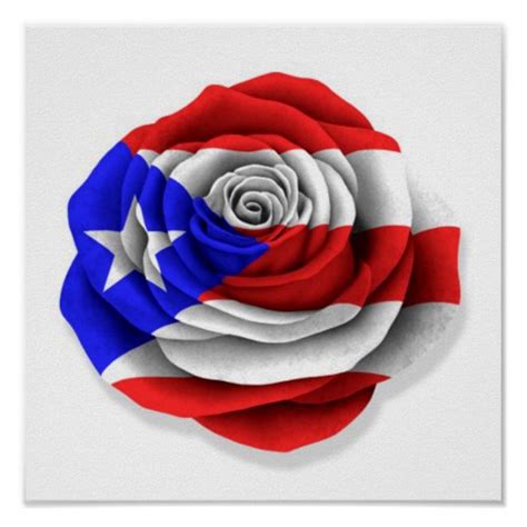 Puerto Rican Rose Flag on White Poster | Zazzle | Bandera de puerto ...