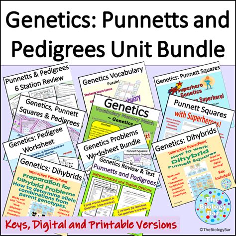 Genetics Punnett Squares and Pedigrees Unit Bundle | Made By Teachers