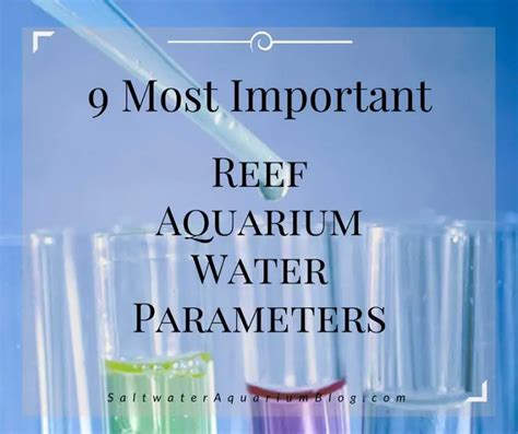 9 Most Important Reef Tank Parameters - test these ideal aquarium levels