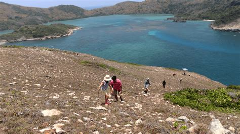 Tour Ghép & Tour Riêng 2N1Đ | Trekking Vịnh Đầm Tre (Côn Đảo) - KKday