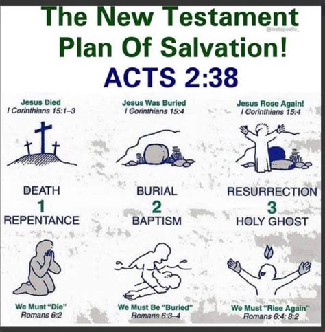 Plan of Salvation | Plan of salvation, Bible verses kjv, How to plan