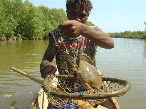 A journey of crab catching in the mangrove channel - Blue Ventures ...