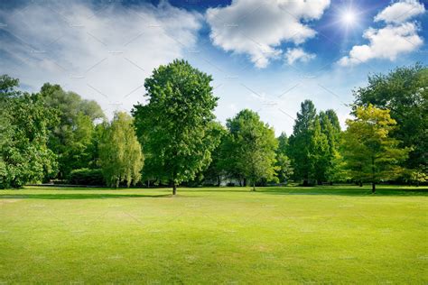 summer sunny day in park | Nature Stock Photos ~ Creative Market