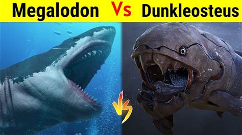 Megalodon Vs Dunkleosteus | क्या 40 करोड़ साल पूरानी मछली मार पाएगी ...