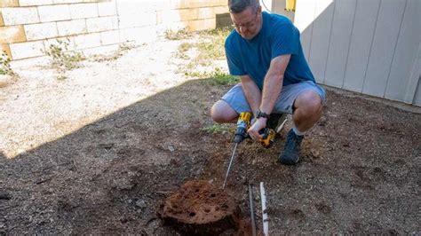 Stump Removal: The Adventure Begins — AZ DIY Guy | Stump removal, And ...