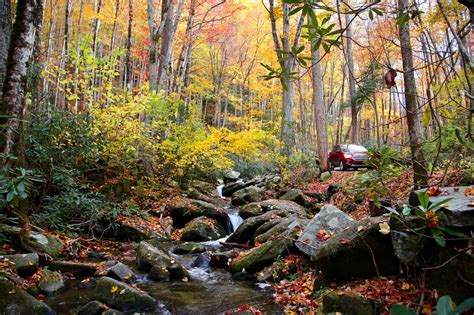 Fall Foliage in the Smoky Mountains – My Bear Foot Cabins