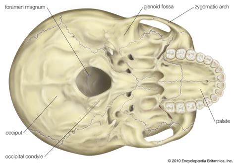 KISS Syndrome: Inconsolable Baby - Mama's Chiropractic