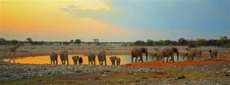 The Complete Guide to Etosha National Park - Tripfuser Travel Blog ...