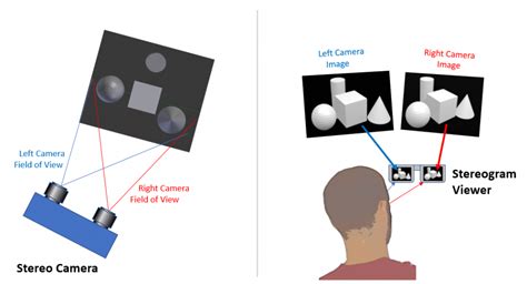 What is Stereoscopic Imaging? - MoviMED