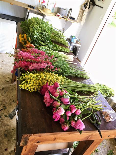 Making farmers market bouquets at Love 'n Fresh Flowers, a flower farm ...