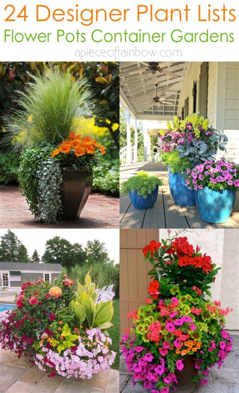 24 Stunning Container Garden Planting Ideas - A Piece Of Rainbow