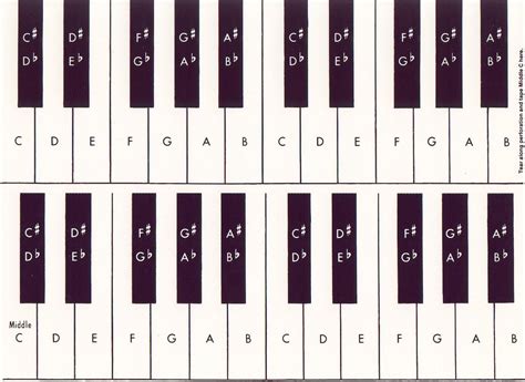 Welcome: Music Theory ~ Piano Board (Life Size)