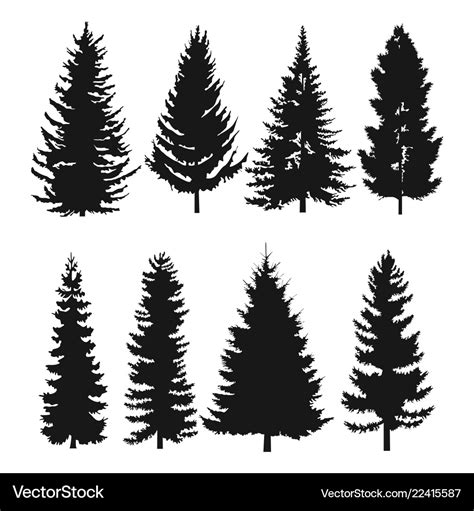 Pine tree flat icon Royalty Free Vector Image - VectorStock