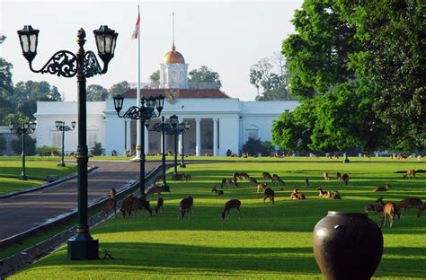 Sejarah Rusa Nepal Hidup di Istana Bogor - Hello Indonesia