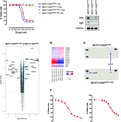 Mechanisms of resistance to elacestrant. A Effect of escalating ...