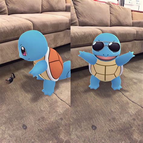 Squirtle discovers the sunglasses. The Squad begins : r/PokemonGoSnap