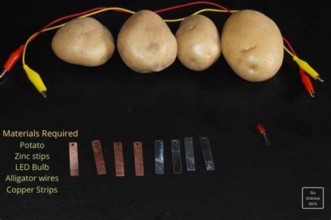 DIY Potato Battery: Potato Light bulb Science Fair Project