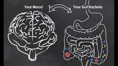 [Webinar Replay] Mental Health & Microbes: Can Your Gut Bacteria Affect ...