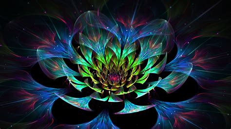 4K Lotus Flower Wallpapers - Top Free 4K Lotus Flower Backgrounds ...