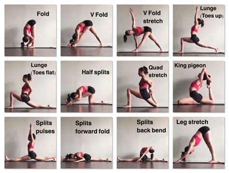 Forward splits stretches | Vinyasa yoga, Yoga tips, Yoga sequences