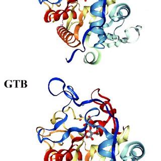 (PDF) ABO blood group system