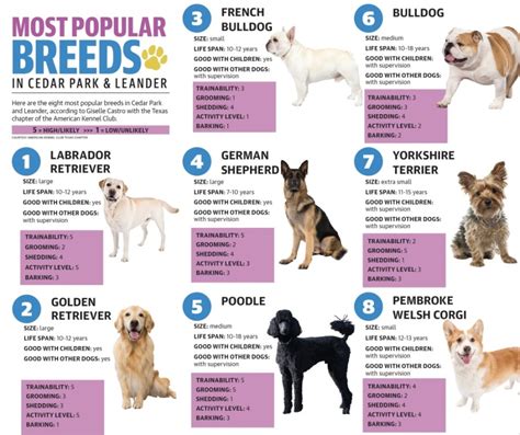 Chart: Top 10 Most Popular Dog Breeds Statista | atelier-yuwa.ciao.jp