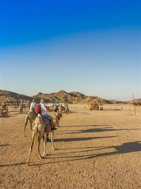 Egypt Travel Destination, Tourists Ride Camel in Safari Desert ...