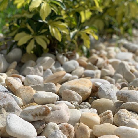 1-3" Tan River Rock Gravel Bulk | Big Earth Landscape Supply