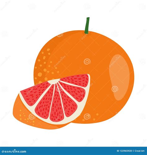 Grapefruit Vector.Fresh Grapefruit Illustration. Stock Vector ...