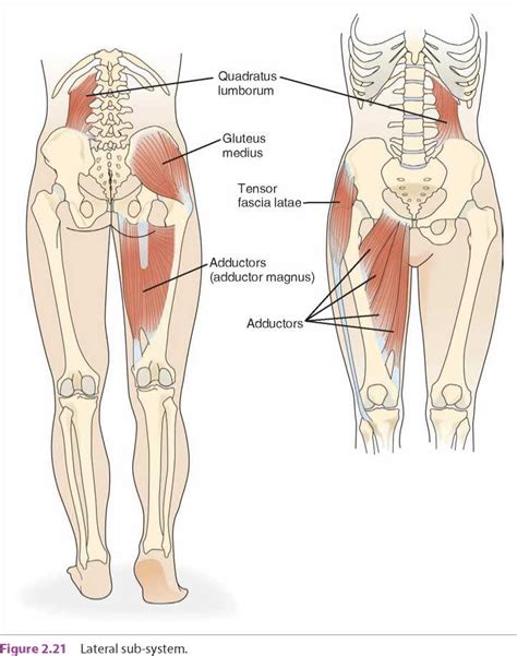 Exercise For Confidence: Offset Zercher Landmine Lunge – Erica Suter