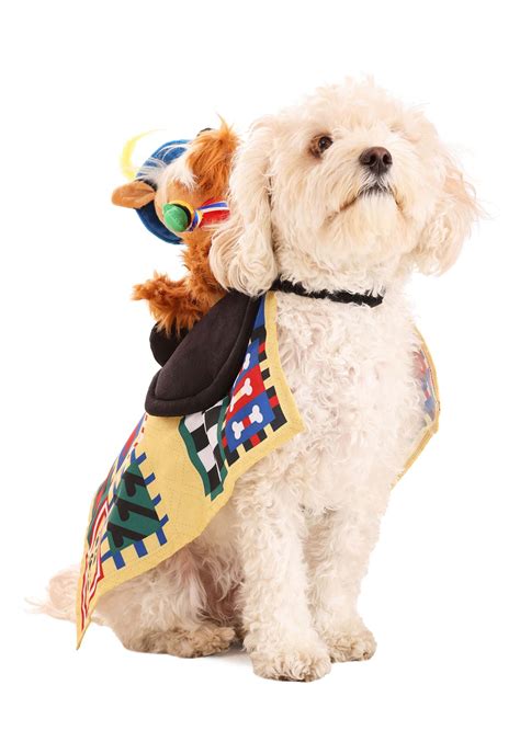 Labyrinth Sir Didymus Costume for Pets