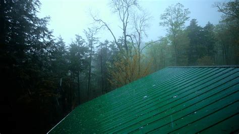 Rain On A Tin Roof In Forest ASMR Ambience | Sleep Instantly With ...