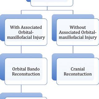 Cranial reconstruction algorithm. | Download Scientific Diagram