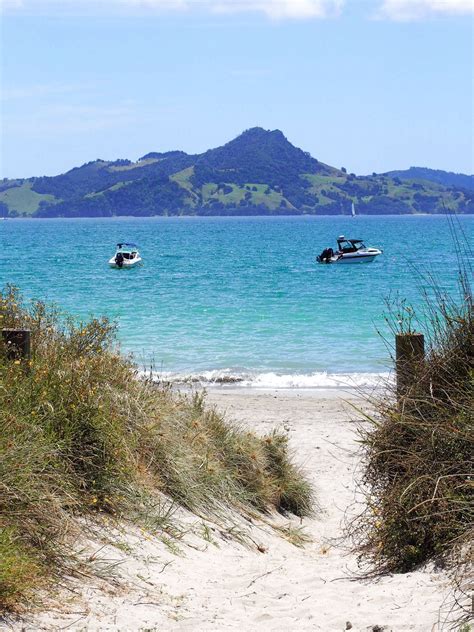 Cooks Beach, The Coromandel, New Zealand | Natural landmarks, New ...