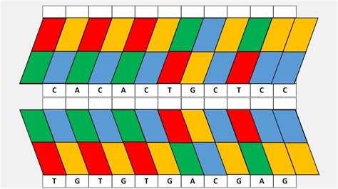 DNA Origami: How to fold a double Helix - YouTube