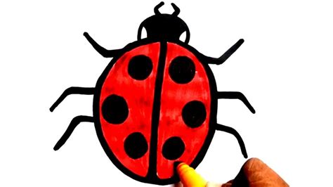 Lady Bug Drawing, Beetle Drawing, Bugs Drawing, Easy Drawings For Kids ...