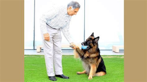 Remembering Ratan Tata: Philanthropist who loved dogs like family ...