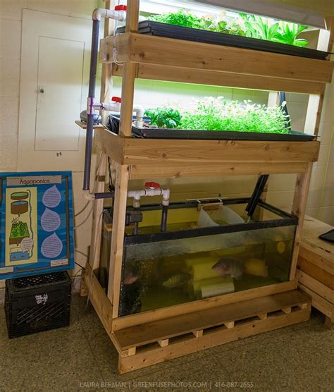 Indoor AP system | Mini Aquaponics | Pinterest