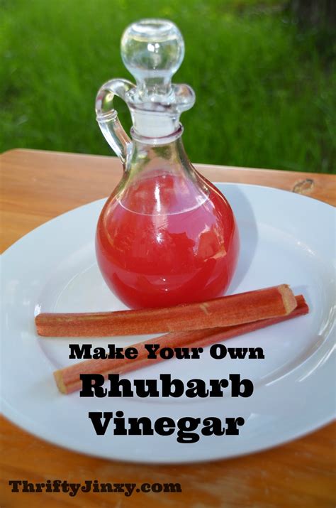 Homemade Rhubarb Vinegar Recipe - Use Up that Extra Rhubarb! - Thrifty ...