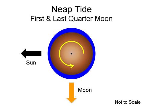 Lecture 20: Tides