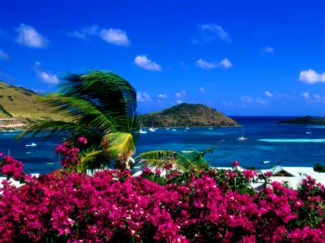 Beautiful Beach Scenery Wallpaper - WallpaperSafari