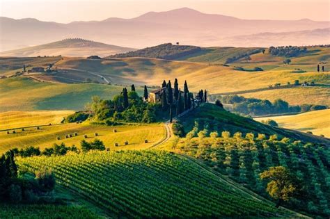 11 Must-Visit Tuscany Wineries - Savored Journeys