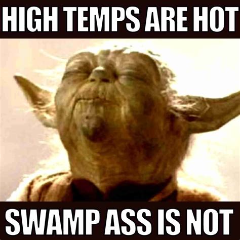 35 Sizzling Hot Weather Memes For Beating The Summer Heat