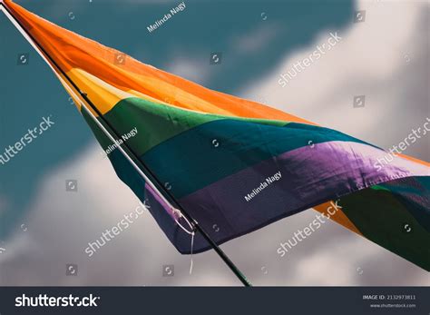 Rainbow Symbol Pride Parade Stock Photo 2132973811 | Shutterstock