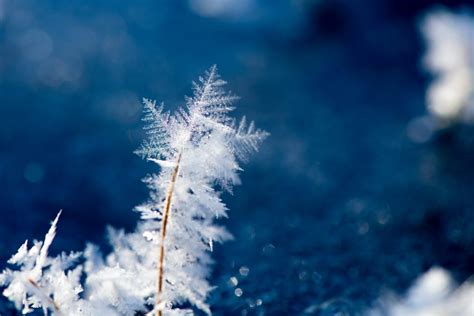 Frost Heave: What to Do and How to Control it