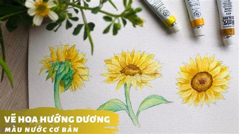 Cách vẽ hoa hướng dương bằng màu nước cơ bản - Tutorial sunflower ...